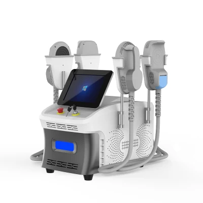 CE/FDA/RoHS 휴대용 체형 형성, 근육 강화, 물리 치료 EMS